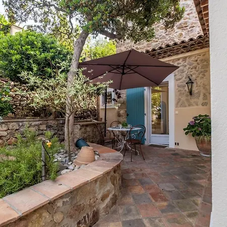 Superb With Swimming Pool & Sauna